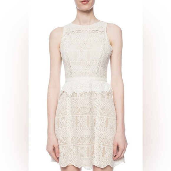 NWT Allsaints Melia Lace sleeveless mini Dress Size 6 in Oyster White - Picture 9 of 16